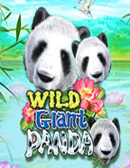 เครดิตฟรี 50 ไม่ต้องฝาก ไม่ต้องแชร์ แค่สมัครล่าสุด สำหรับทดลองเล่น